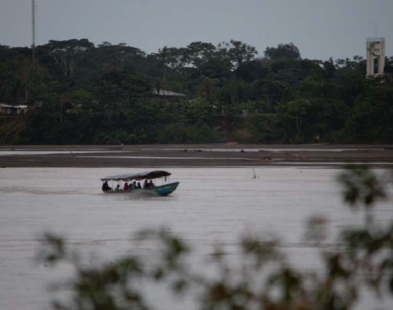 galeria (12)