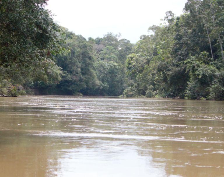galeria (13)